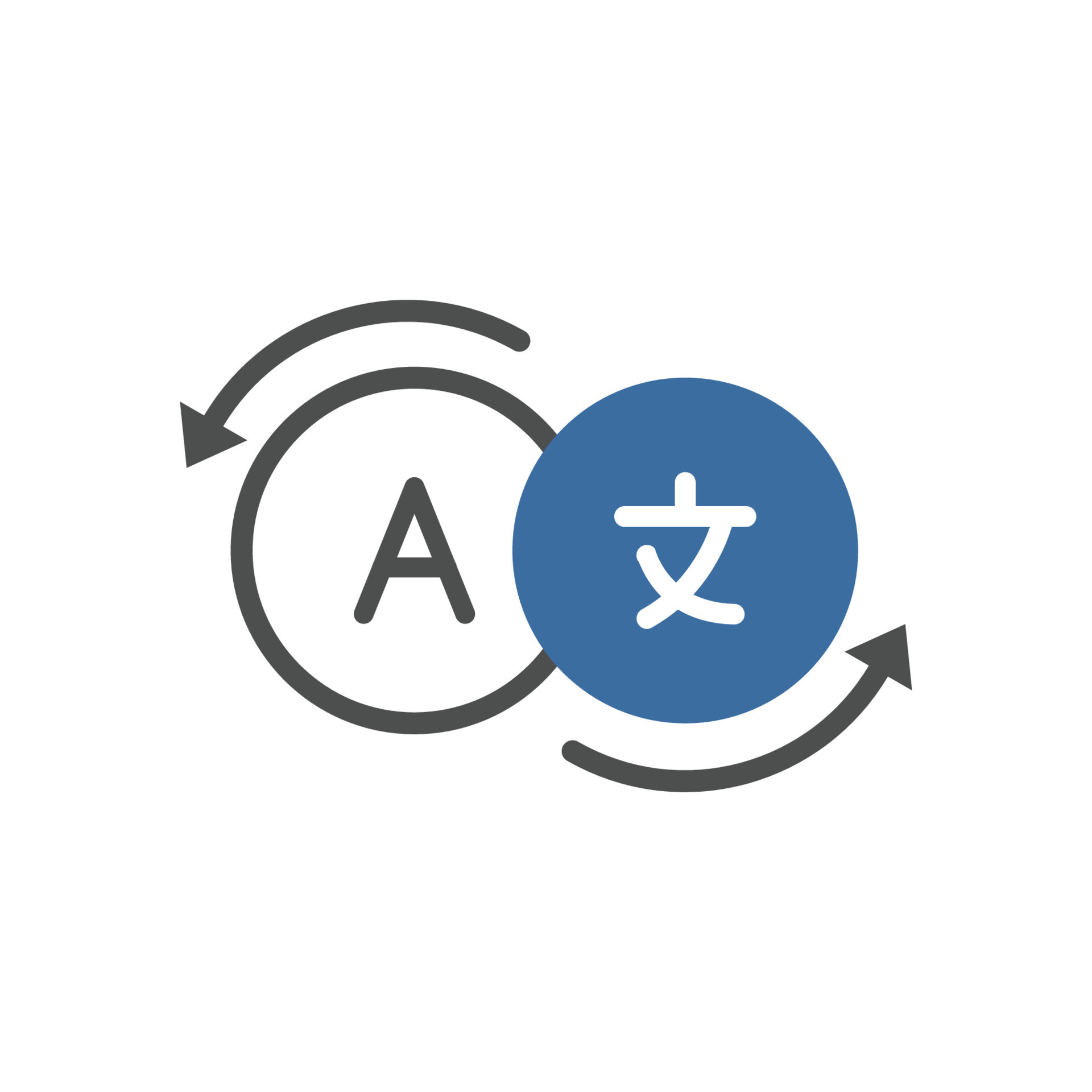 languages icon